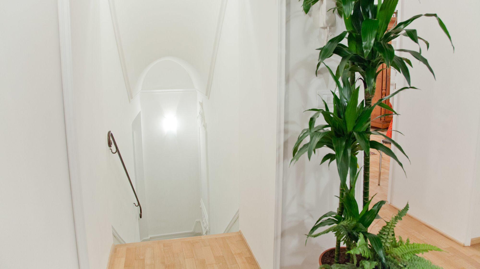 Apartment In Center
